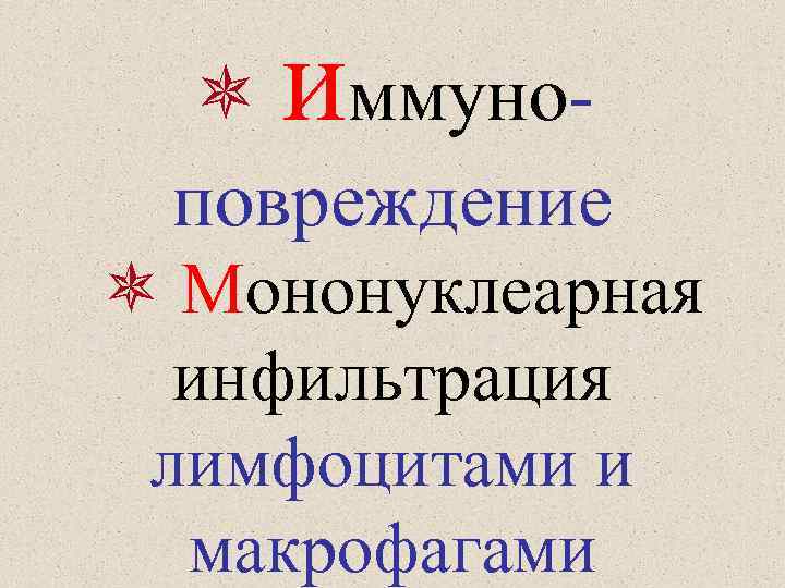  иммуноповреждение Мононуклеарная инфильтрация лимфоцитами и макрофагами 