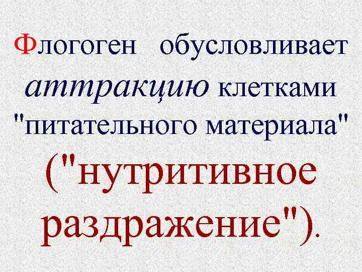 Флогоген обусловливает аттракцию клетками 