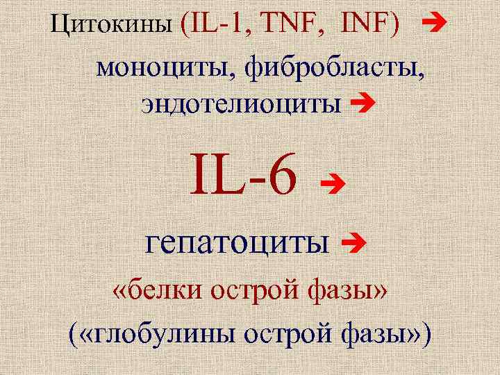 Цитокины (IL-1, TNF, INF) моноциты, фибробласты, эндотелиоциты IL-6 гепатоциты «белки острой фазы» ( «глобулины