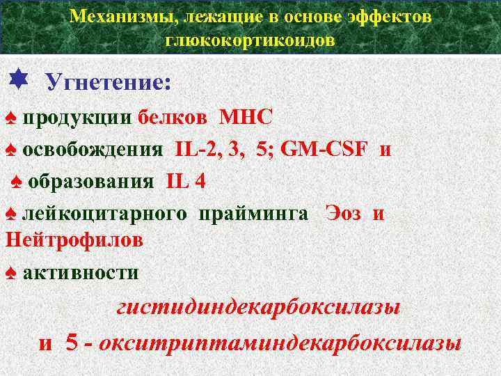 Механизмы, лежащие в основе эффектов глюкокортикоидов Угнетение: ♠ продукции белков МНС ♠ освобождения IL-2,