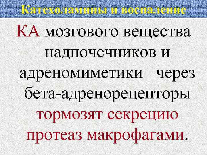 Катехоламины и воспаление КА мозгового вещества надпочечников и адреномиметики через бета-адренорецепторы тормозят секрецию протеаз