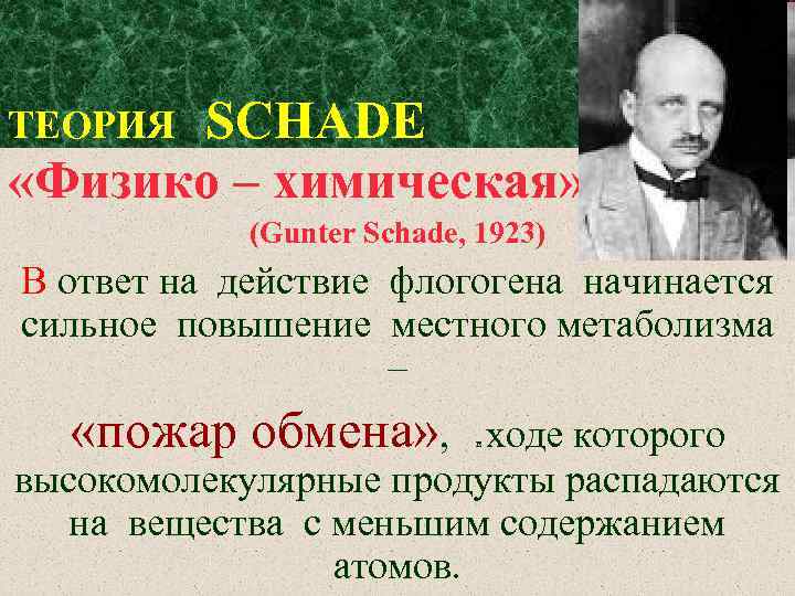 ТЕОРИЯ SCHADE «Физико – химическая» (Gunter Schade, 1923) В ответ на действие флогогена начинается