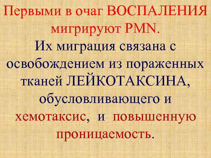 Первыми в очаг ВОСПАЛЕНИЯ мигрируют PMN. Их миграция связана с освобождением из пораженных тканей