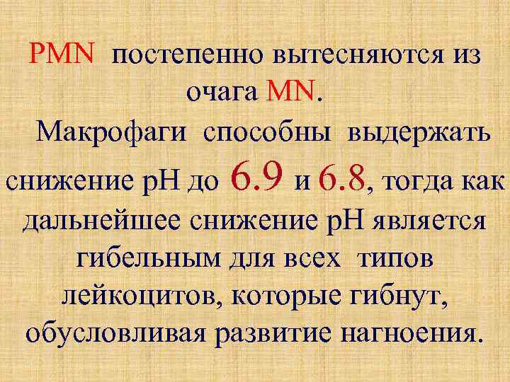 PMN постепенно вытесняются из очага MN. Макрофаги способны выдержать снижение р. Н до 6.