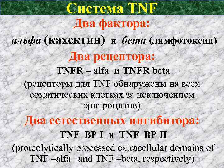 Система TNF Два фактора: альфа (кахектин) и бета (лимфотоксин) Два рецептора: TNFR – alfa