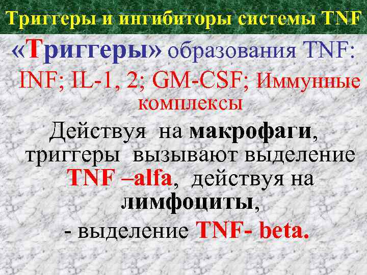 Триггеры и ингибиторы cистемы TNF «Триггеры» образования TNF: INF; IL-1, 2; GM-CSF; Иммунные комплексы