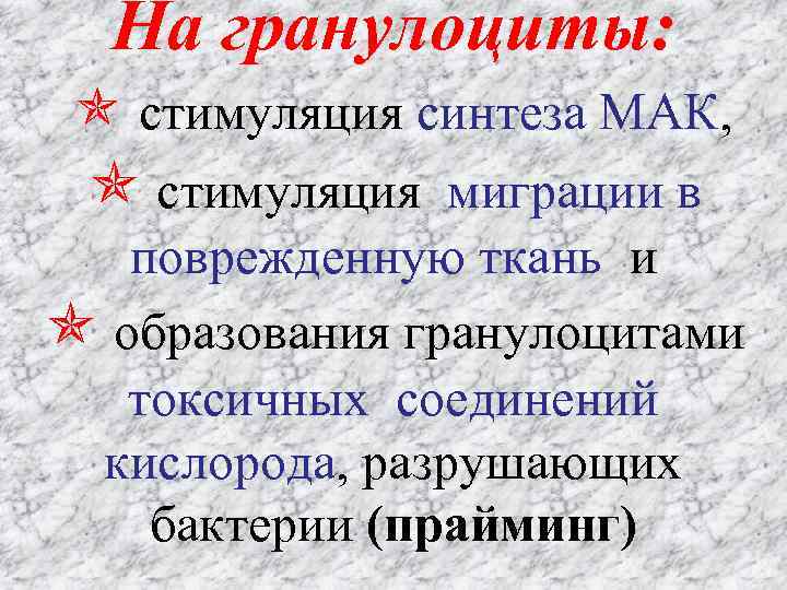 На гранулоциты: стимуляция синтеза МАК, стимуляция миграции в поврежденную ткань и образования гранулоцитами токсичных