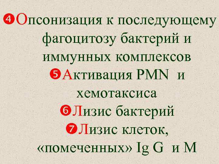  Опсонизация к последующему фагоцитозу бактерий и иммунных комплексов Активация PMN и хемотаксиса Лизис