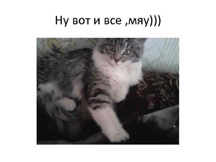 Ну вот и все , мяу))) 