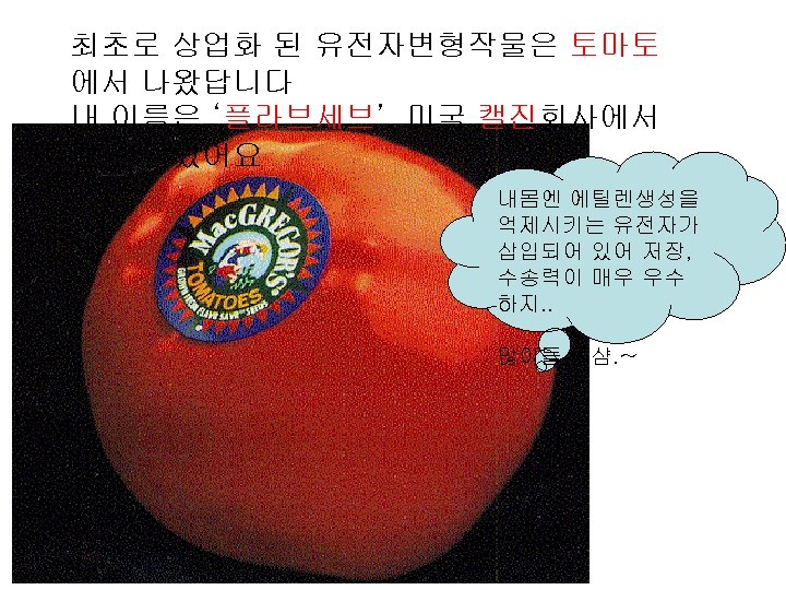 최초로 상업화 된 유전자변형작물은 토마토 에서 나왔답니다 내 이름은 ‘플라브세브’. 미국 캘진회사에서 절 만들었어요