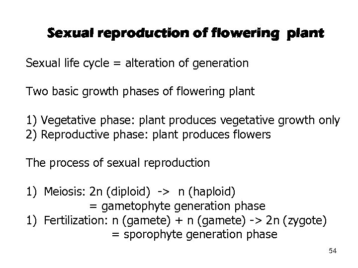 Sexual reproduction of flowering plant Sexual life cycle = alteration of generation Two basic