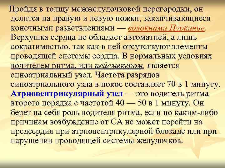  Пройдя в толщу межжелудочковой перегородки, он делится на правую и левую ножки, заканчивающиеся