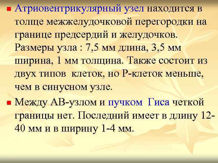 Атриовентрикулярный узел находится в толще межжелудочковой перегородки на границе предсердий и желудочков. Размеры узла