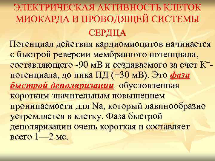 ЭЛЕКТРИЧЕСКАЯ АКТИВНОСТЬ КЛЕТОК МИОКАРДА И ПРОВОДЯЩЕЙ СИСТЕМЫ СЕРДЦА Потенциал действия кардиомиоцитов начинается с быстрой