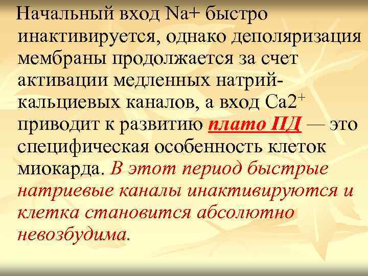  Начальный вход Nа+ быстро инактивируется, однако деполяризация мембраны продолжается за счет активации медленных