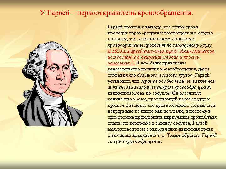 У. Гарвей – первооткрыватель кровообращения. Гарвей пришел к выводу, что поток крови проходит через