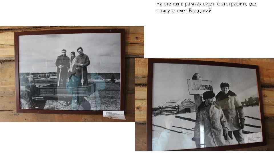 На стенах в рамках висят фотографии, где присутствует Бродский. 