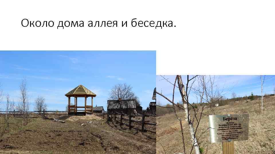 Около дома аллея и беседка. 