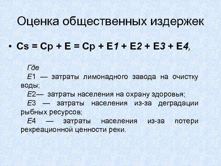 Оценка общественных издержек • Cs = Cp + Е = Cp + E 1