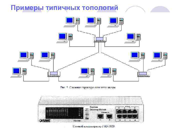 Примеры типичных топологий 