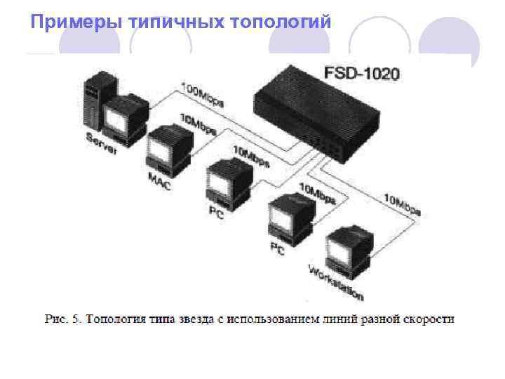 Примеры типичных топологий 