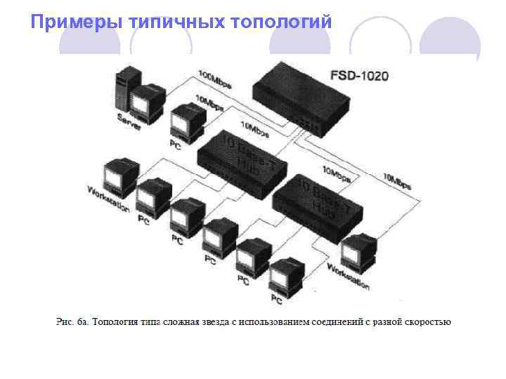 Примеры типичных топологий 