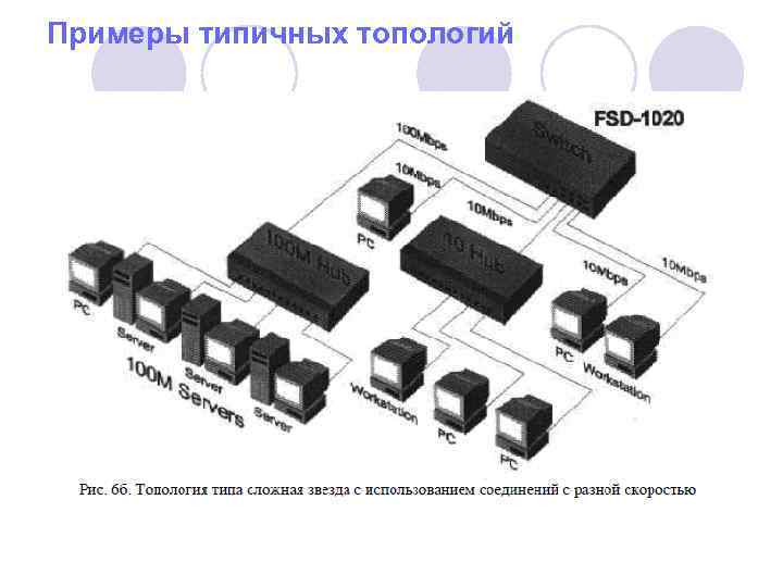 Примеры типичных топологий 