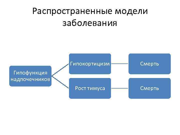 Распространенные модели заболевания Гипокортицизм Смерть Рост тимуса Смерть Гипофункция надпочечников 