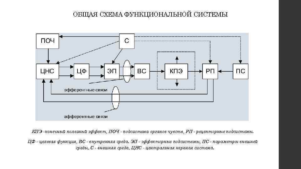 Система сдержек и противовесов схема