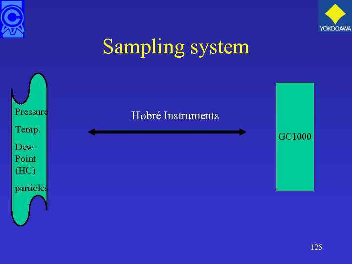 Sampling system Pressure Temp. Dew. Point (HC) Hobré Instruments GC 1000 particles 125 