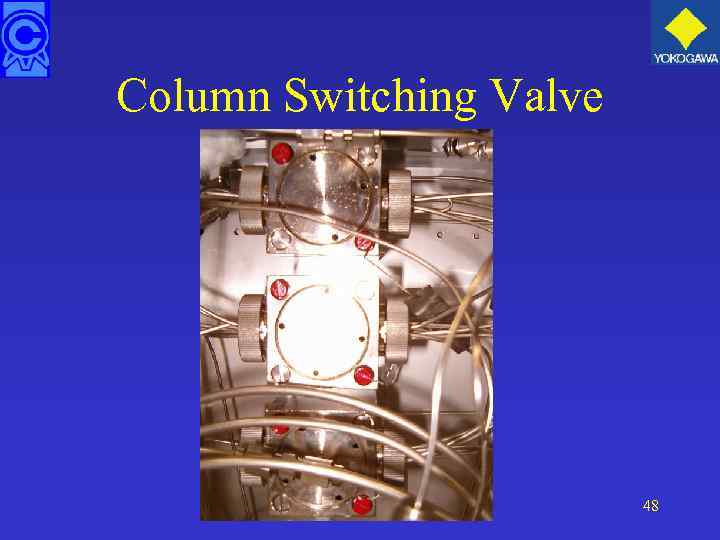 Column Switching Valve 48 