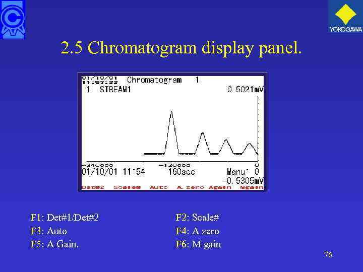 2. 5 Chromatogram display panel. F 1: Det#1/Det#2 F 3: Auto F 5: A