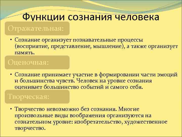 Функции сознания человека Отражательная: • Сознание организует познавательные процессы (восприятие, представление, мышление), а также