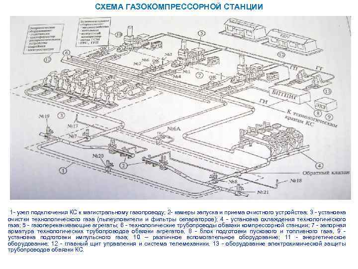 Принципиальная схема компоновки основного оборудования компрессорной станции