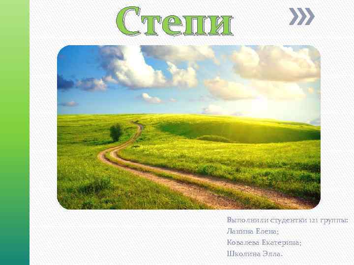 Степи Выполнили студентки 121 группы: Ланина Елена; Ковалева Екатерина; Школина Элла. 
