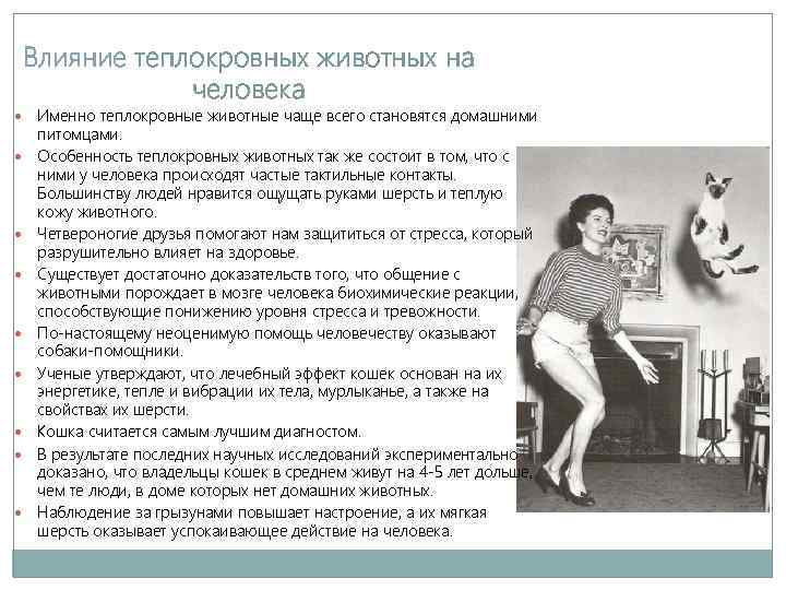 Влияние теплокровных животных на человека Именно теплокровные животные чаще всего становятся домашними питомцами. Особенность