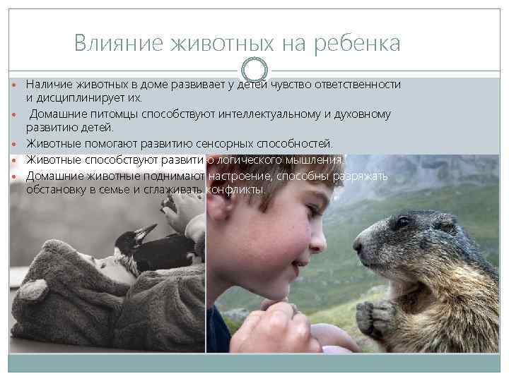 Влияние животных на ребенка Наличие животных в доме развивает у детей чувство ответственности и