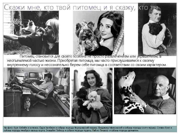 Скажи мне, кто твой питомец и я скажу, кто ты Питомец становится для своего