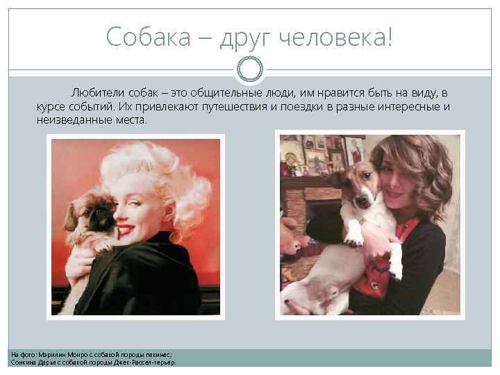 Собака – друг человека! Любители собак – это общительные люди, им нравится быть на