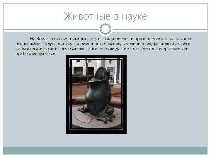 Животные в науке На Земле есть памятники лягушке, в знак уважения и признательности за