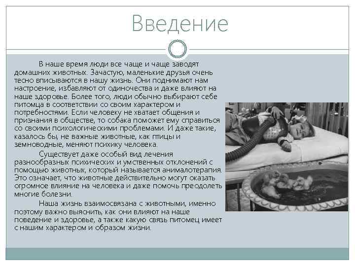 Введение В наше время люди все чаще и чаще заводят домашних животных. Зачастую, маленькие