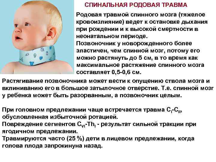 Родовая пробка фото