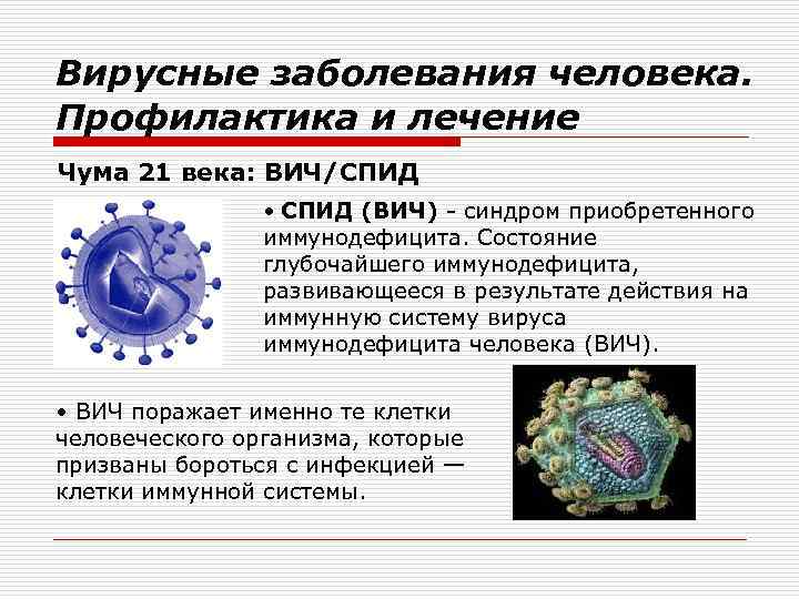 Вирусные заболевания человека. Профилактика и лечение Чума 21 века: ВИЧ/СПИД • СПИД (ВИЧ) -