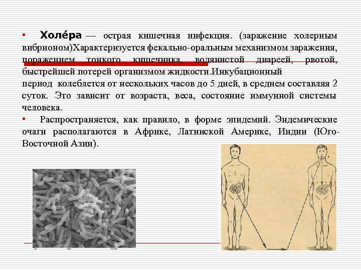  • Холе ра — острая кишечная инфекция. (заражение холерным вибрионом)Характеризуется фекально-оральным механизмом заражения,