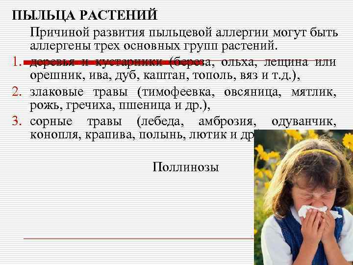 ПЫЛЬЦА РАСТЕНИЙ Причиной развития пыльцевой аллергии могут быть аллергены трех основных групп растений. 1.