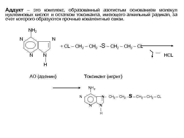 Аддукт – это комплекс, образованный азотистым основанием молекул нуклеиновых кислот и остатком токсиканта, имеющего