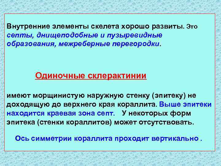 Внутренние элементы скелета хорошо развиты. Это септы, днищеподобные и пузыревидные образования, межреберные перегородки. Одиночные