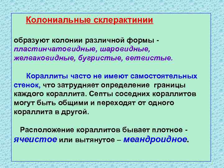 Колониальные склерактинии образуют колонии различной формы пластинчатовидные, шаровидные, желваковидные, бугристые, ветвистые. Кораллиты часто не