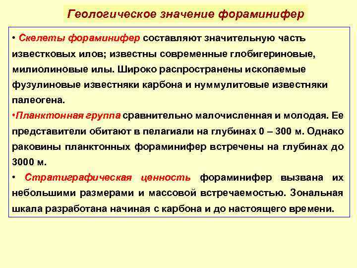 Геологическое значение фораминифер • Скелеты фораминифер составляют значительную часть известковых илов; известны современные глобигериновые,