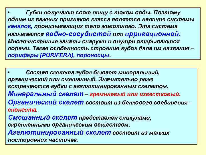  • Губки получают свою пищу с током воды. Поэтому одним из важных признаков